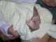 DSCN7037