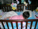DSCN7145