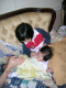 DSCN7792