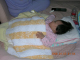 DSCN8014