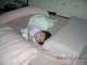 DSCN8308