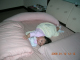 DSCN8311