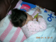 DSCN8554