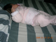 DSCN8873