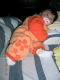 DSCN9082