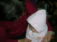 DSCN9235