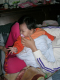 DSCN9668