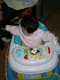 DSCN9812