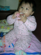 DSCN9920